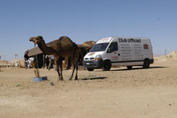 assistenza furgone cammello